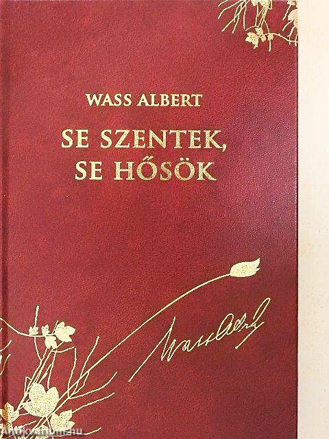 Se szentek, se hősök