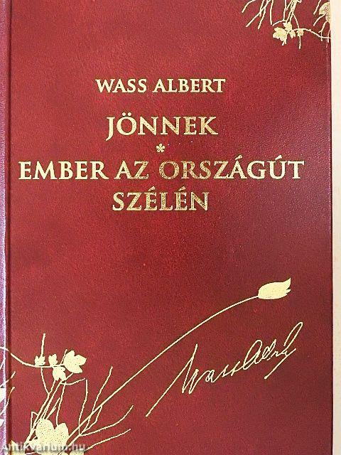 Jönnek/Ember az országút szélén