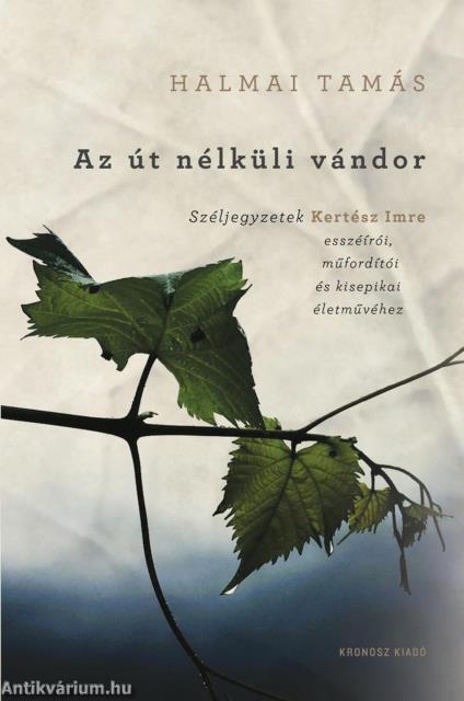 Az út nélküli vándor