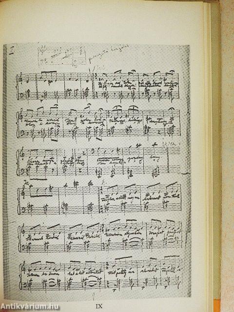 Tollal és gitárral