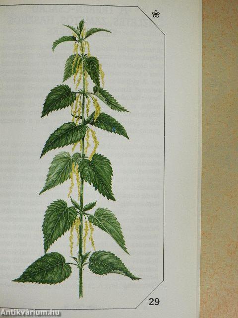 Allergia