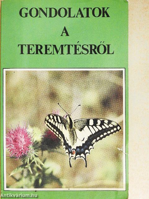 Gondolatok a teremtésről