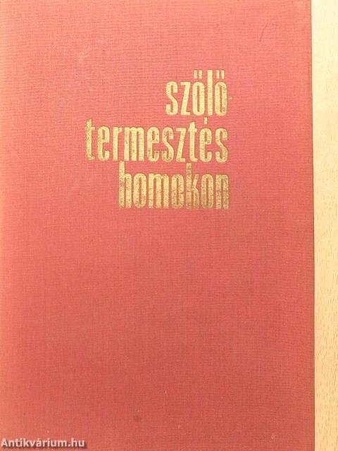 Szőlőtermesztés homokon