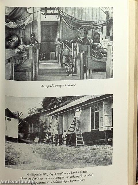 Életem és gondolataim