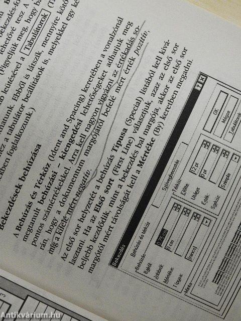 Word for Windows '95