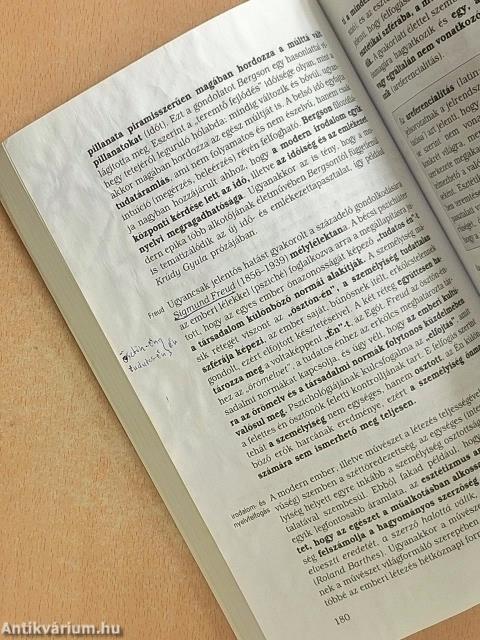 Irodalom 11. - Tankönyv