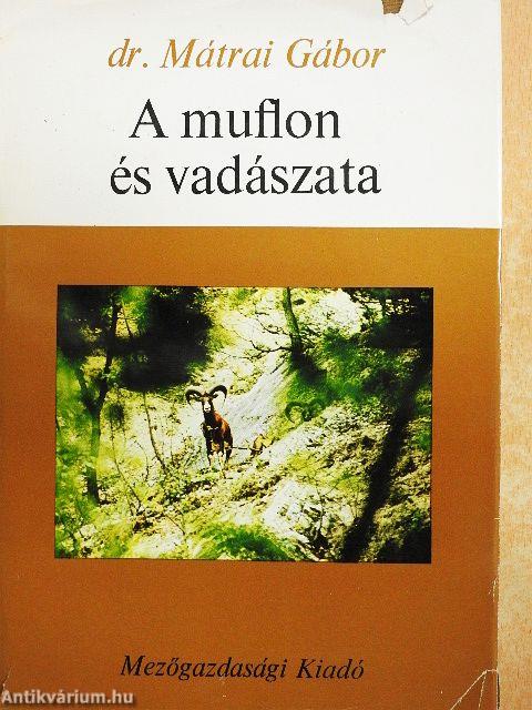 A muflon és vadászata