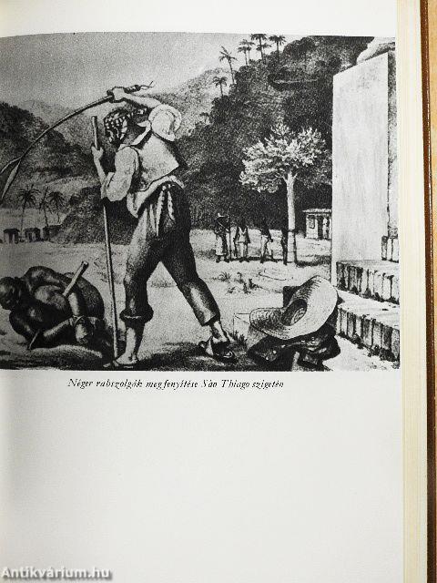 Egy rendkívüli asszony élete