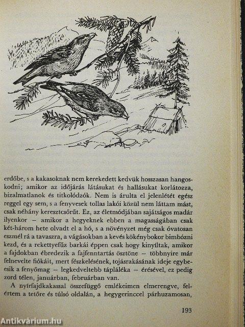 Medvék, őzek, farkasok