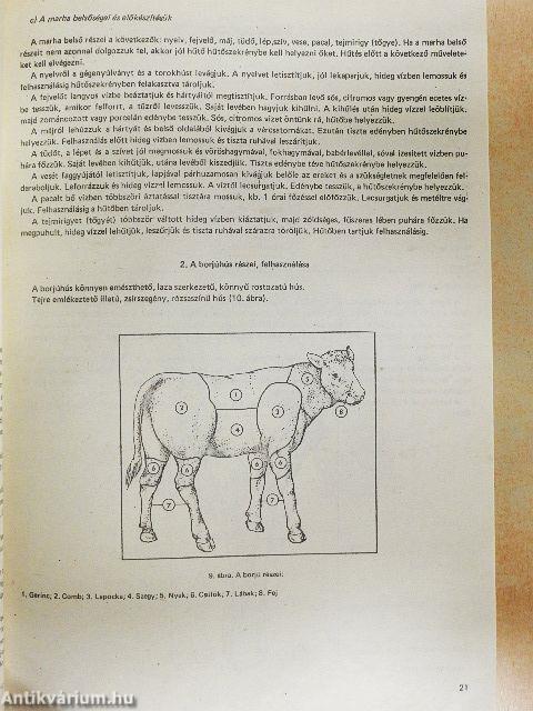 Ételkészítési ismeretek I.