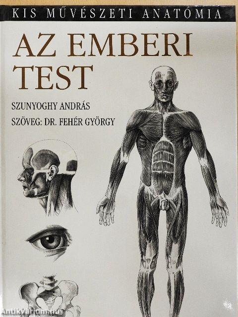 Az emberi test