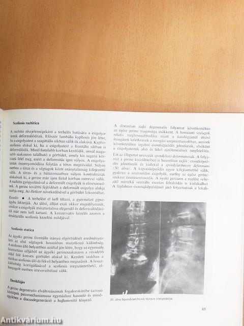 Az ortopédia tankönyve