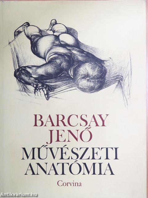 Művészeti anatómia