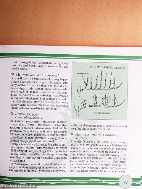 A kíváncsi kertész - DVD-vel