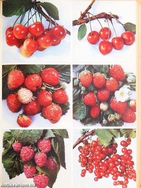 Nouveau Larousse Agricole