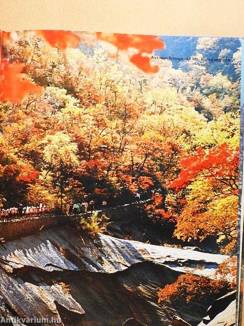 Mt. Kumgang-san
