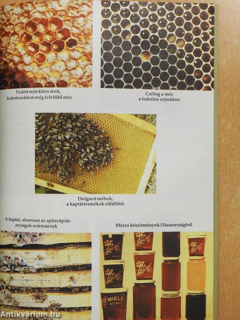 Méhdoktor (dedikált példány)