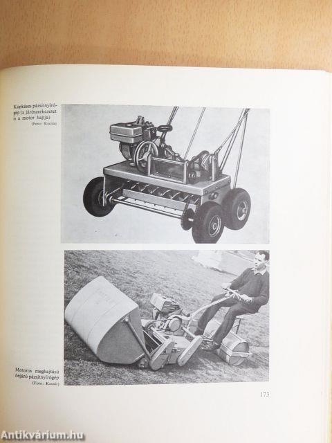 Pázsitok, gyepszőnyegek