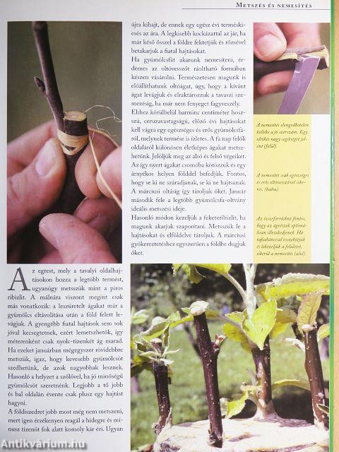 A praktikus kerti naptár