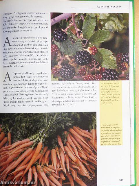 A praktikus kerti naptár