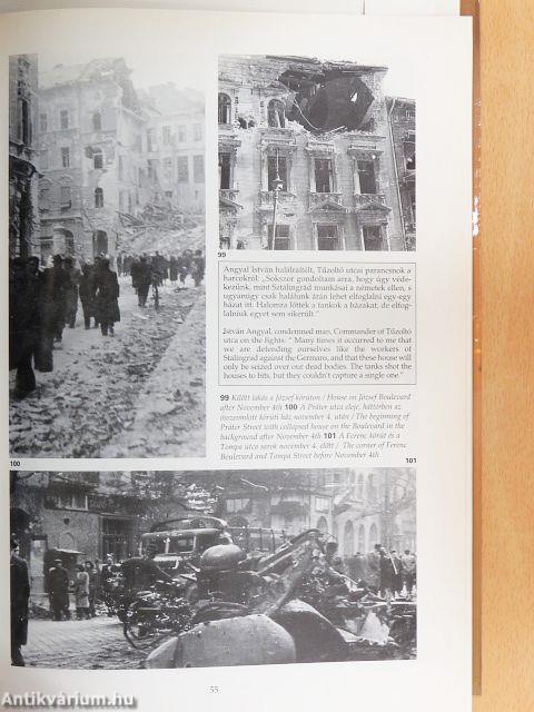 Szigorúan titkos emlékkönyv 1956