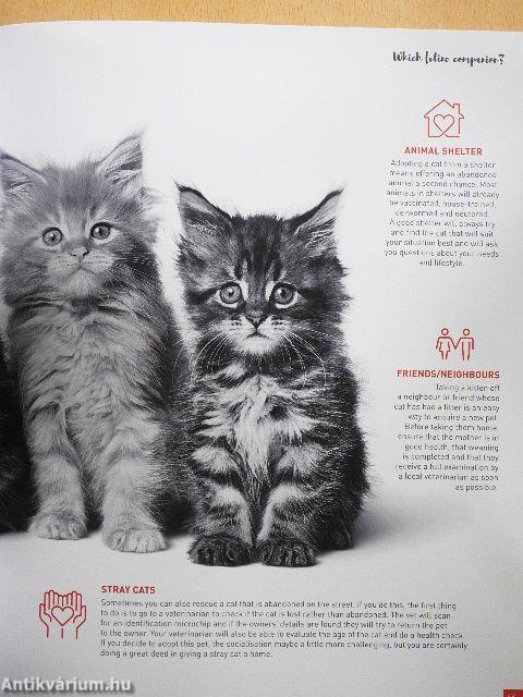 Who is my cat?