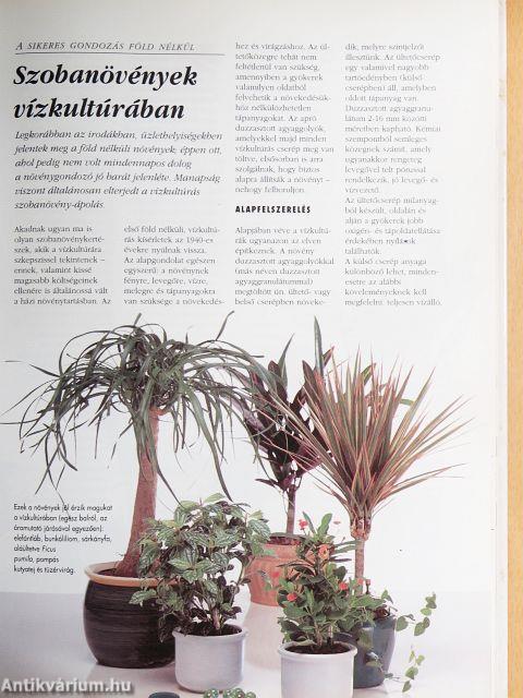 Szobanövények kézikönyve