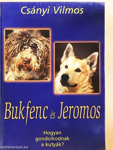 Bukfenc és Jeromos