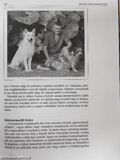 Bukfenc és Jeromos
