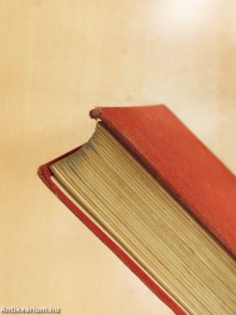 A földönfutó város