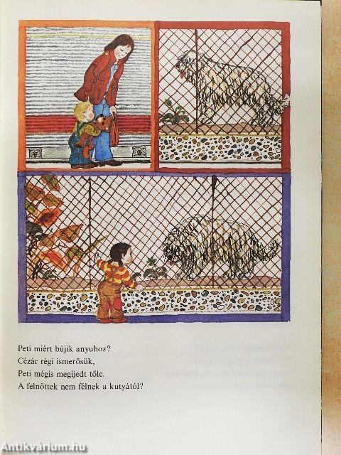 A baba első lexikonja II.