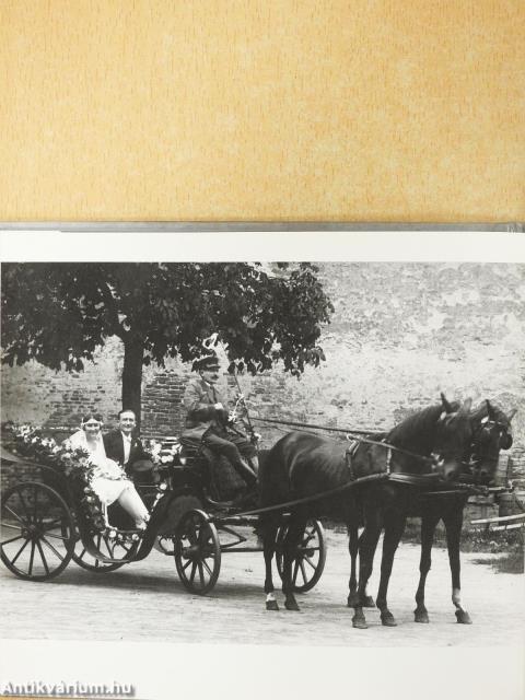 Családregény - CD-vel (dedikált példány)