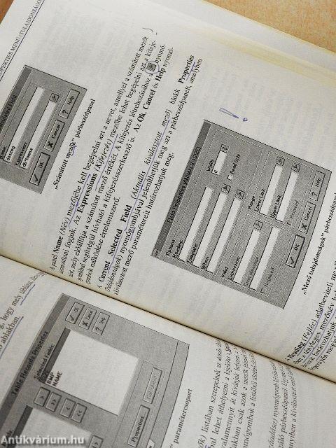 Adatbáziskezelés dBase 5.0 for Windows rendszerben 