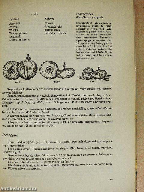 Házunk tája - aranybánya