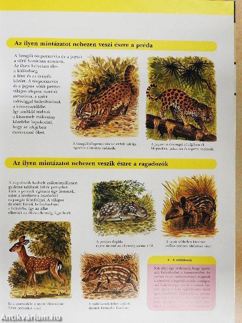 Vadon élő állatok