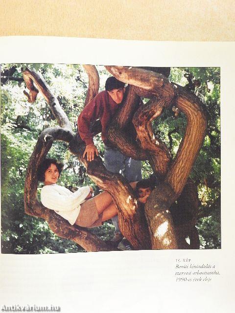 Embert barátjáról