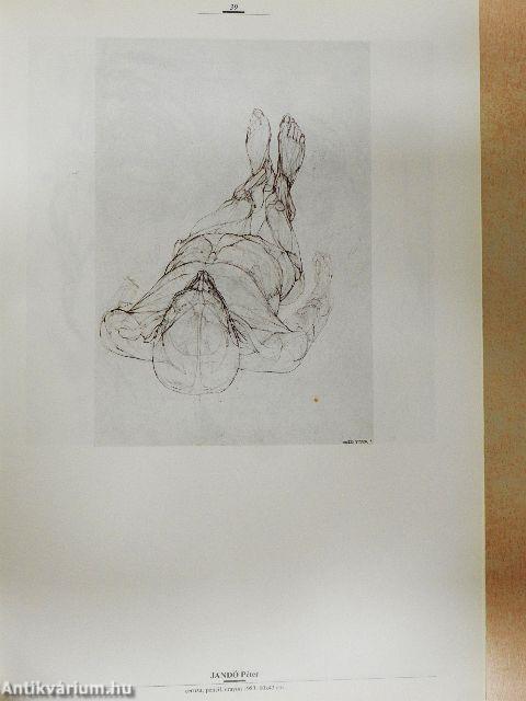 Barcsay iskolájában