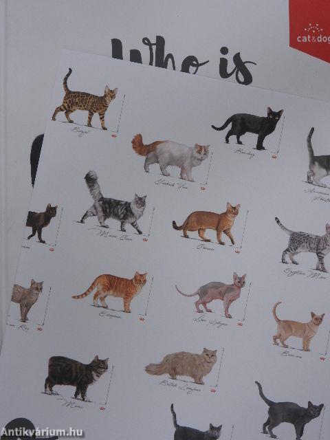 Who is my cat?