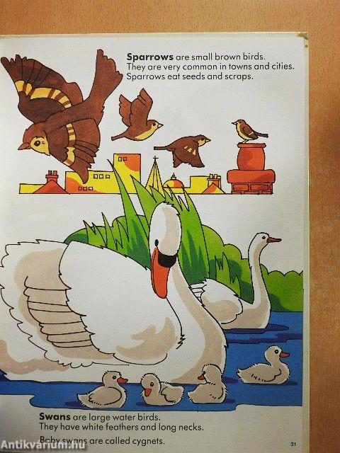 My Very First Learn & Know Animal Book