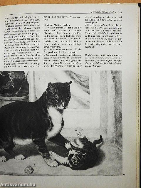 Knaurs Grosses Katzenbuch