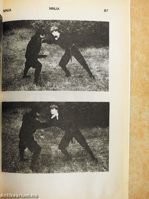Ninja 2.
