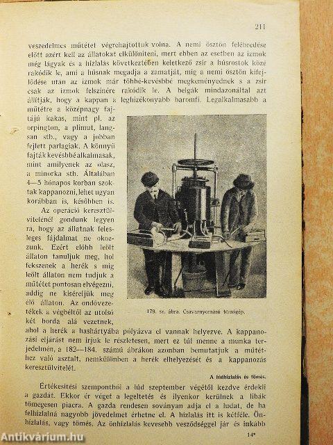 Baromfitenyésztés