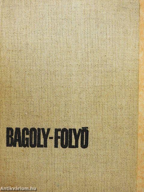 Bagoly-folyó