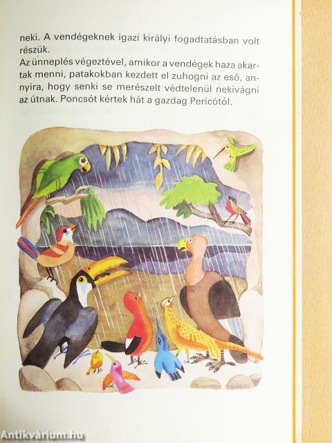 Hogyan lett király a kondorkeselyű