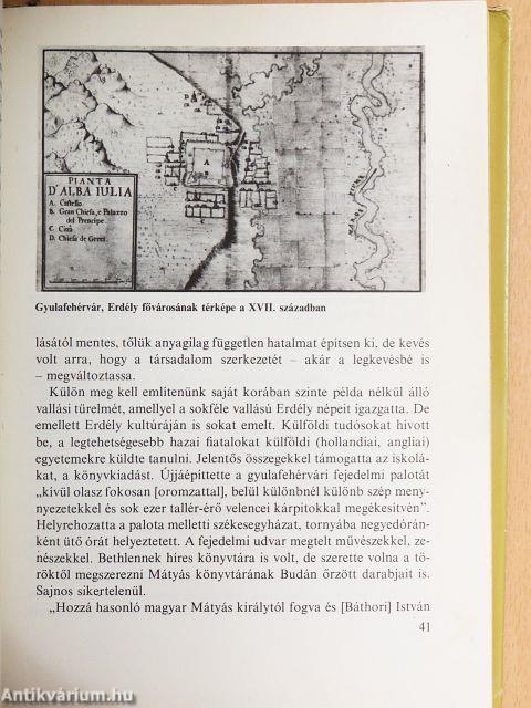 A "Tündérkert" romlása