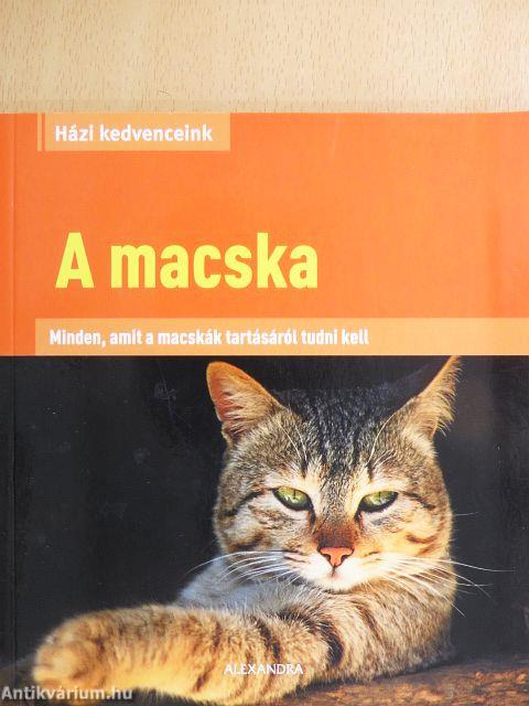 A macska