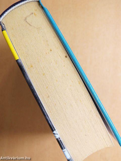 A tökéletes nevelőnő