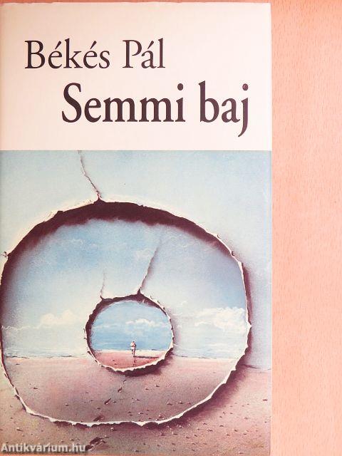 Semmi baj