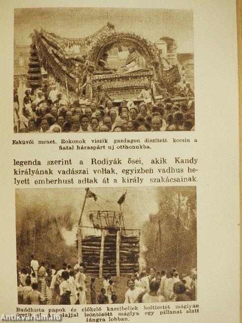 A szent gyülölet