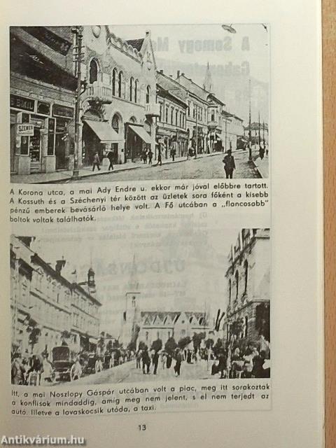 Kaposvár utcái-terei 2.